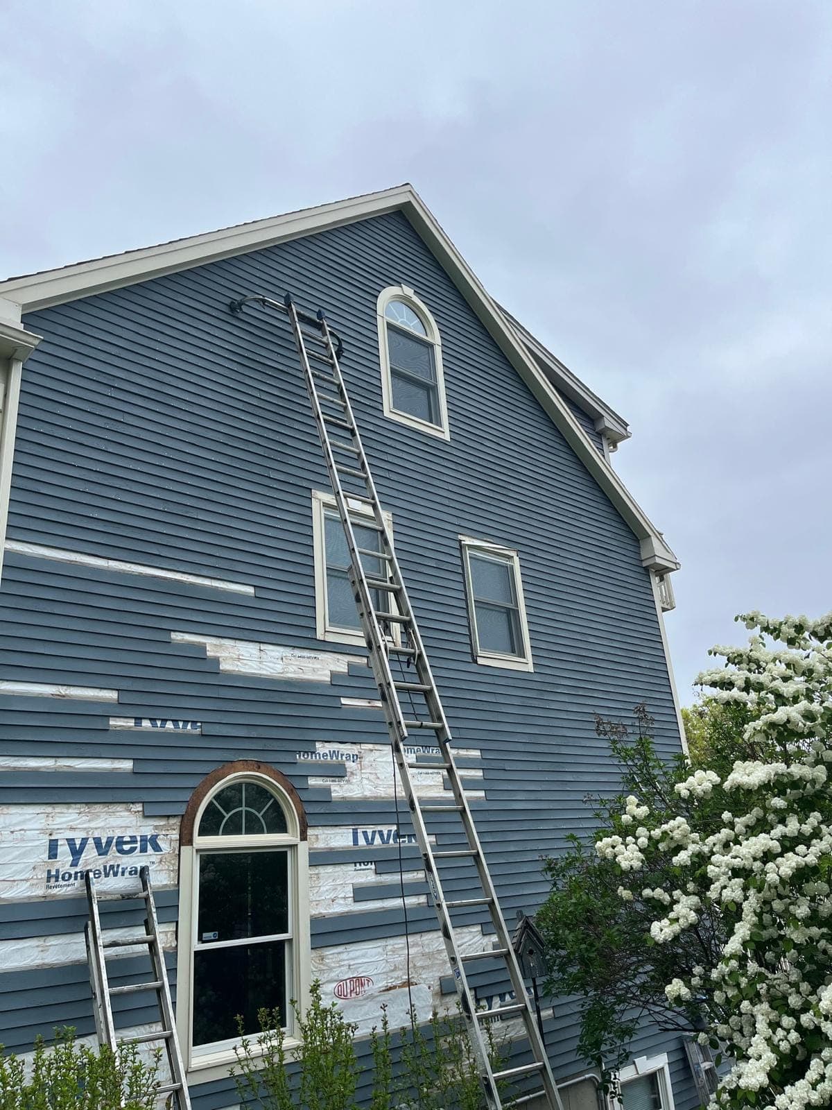Side of a blue clapboard house with house wrap showing where clapboards were removed, two ladders leaning on it