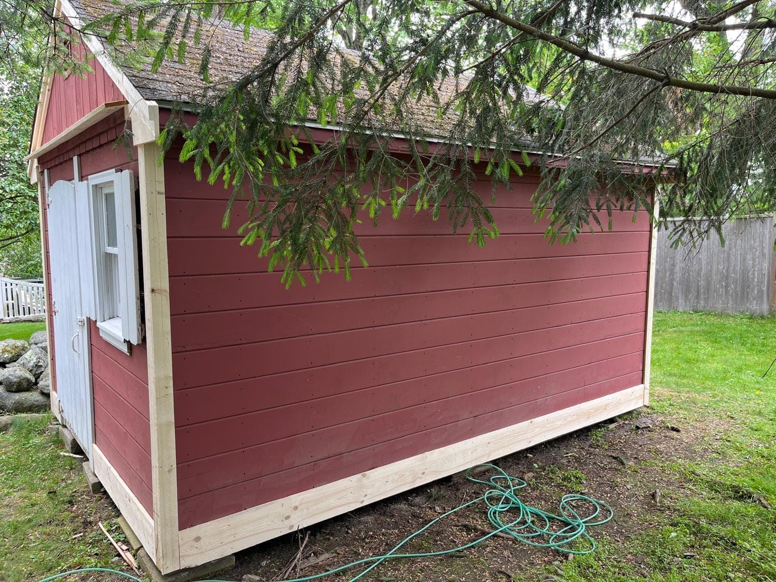 The corner of a red shed with new pine corner boards and fascia, under a pine tree