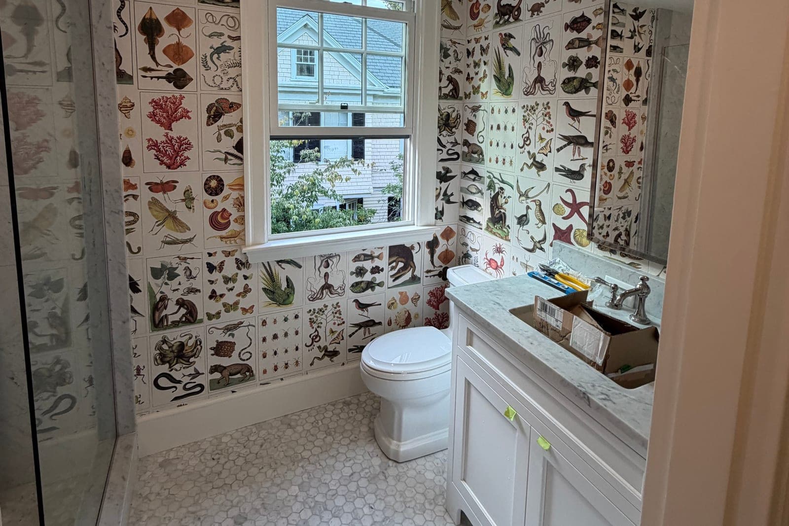 Bathroom in natural-history plate paper around the window, with the hardware box still on the vanity